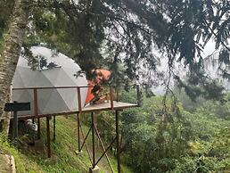 Finca Montaña Magica