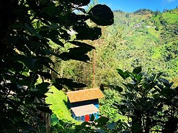 Finca Montaña Magica