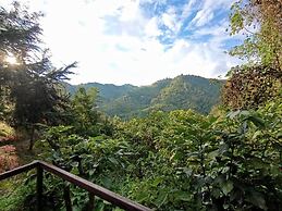 Finca Montaña Magica