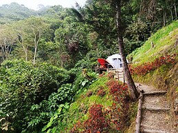 Finca Montaña Magica