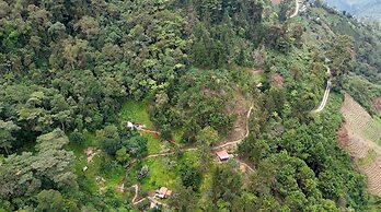 Finca Montaña Magica