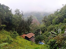 Finca Montaña Magica