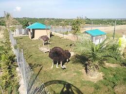 Hobbiton LakeSide Resorts
