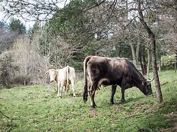 B&B La Via dei Mulini