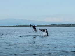B&B La Via dei Mulini
