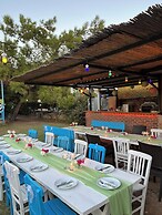 Zeytin Pansiyon Palamutbükü