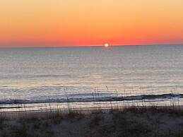 Coral Surf #A1 - Beachy Keen