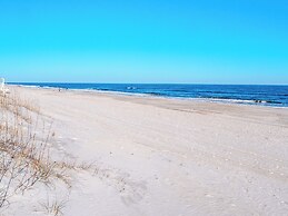 Coral Surf #A1 - Beachy Keen