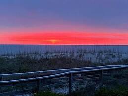 Coral Surf #A1 - Beachy Keen