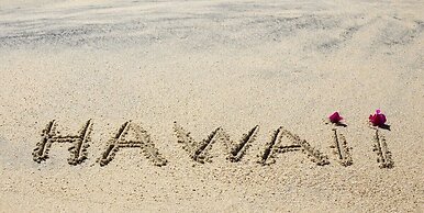 @ Marbella Lane - Stunning Gem w/ MT & Ocean Views