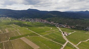 Gîtes Au Domaine Greiner