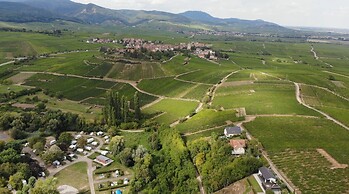 Gîtes Au Domaine Greiner