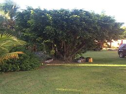 Cool Premier Suite 25