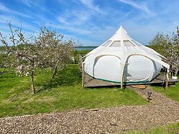 Stargazer Tent 1