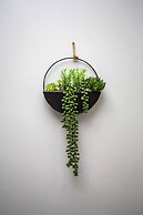 Large 3 Bed Apartment-sea Road