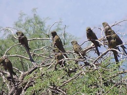 Cabañas Los Elementos