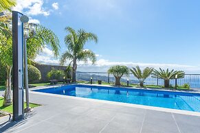 Palm Paradise by Atlantic Holiday