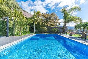 Palm Paradise by Atlantic Holiday