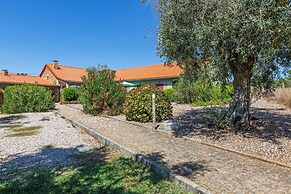 Quinta Chão da Vinha - by Matias Nature