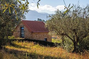 Quinta Chão da Vinha - by Matias Nature