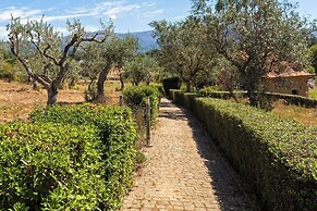 Quinta Chão da Vinha - by Matias Nature