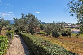 Quinta Chão da Vinha - by Matias Nature