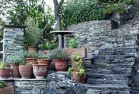 Secluded Cottage Guesthouse in the Mountains