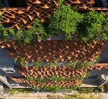 Iris Suites