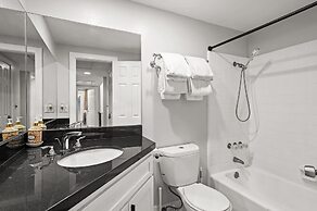 Luxury Hilltop Stay Pool Views Sleeps Many