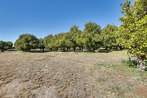 Hike, Explore & More: Ranch Retreat in Escondido!