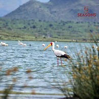 Seasons Elementaita Country Lodge