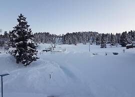 Studio in Chamrousse Near Ski Resort