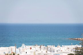 Michael Zeppos Studios, Naousa