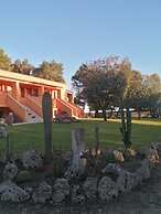 Sole del Mediterraneo