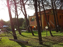 Sole del Mediterraneo