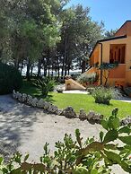 Sole del Mediterraneo