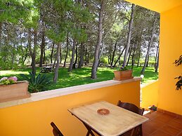 Sole del Mediterraneo
