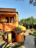 Sole del Mediterraneo