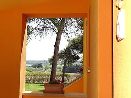 Sole del Mediterraneo