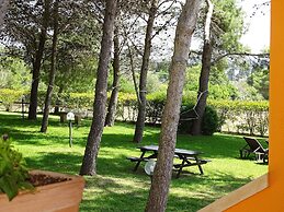 Sole del Mediterraneo
