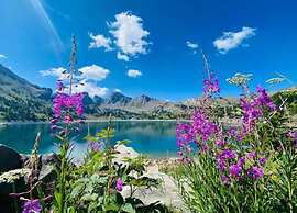 Apartment in Allos Near Ski Resort