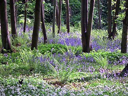Cottage in North York Moors With Scenic Trails