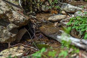 Heart Soul Log Cabin Sanctuary w Walking Trails