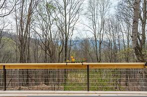 Heart Soul Log Cabin Sanctuary w Walking Trails