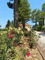 VILLA RINA GUEST HOUSE