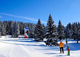Apartment in Chamrousse Near Ski Slopes