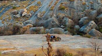Chavri Resort - Jawai