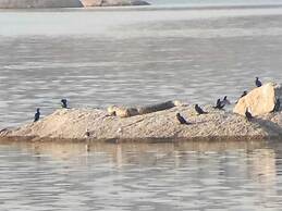 Chavri Resort - Jawai
