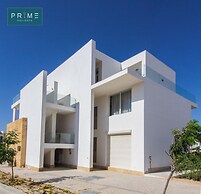 Prime Holidays Seashell