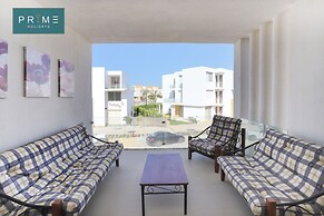 Prime Holidays Seashell